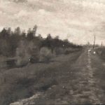 Festmény 16